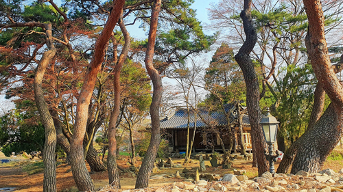송화댁